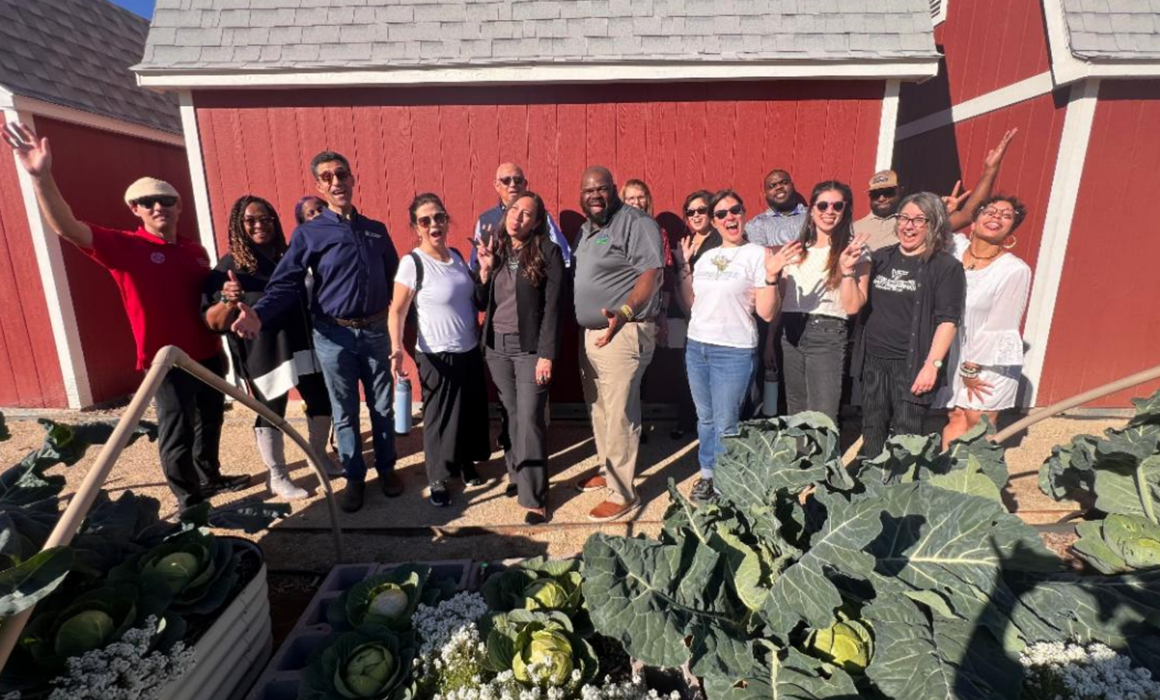 summer newsletter nuag