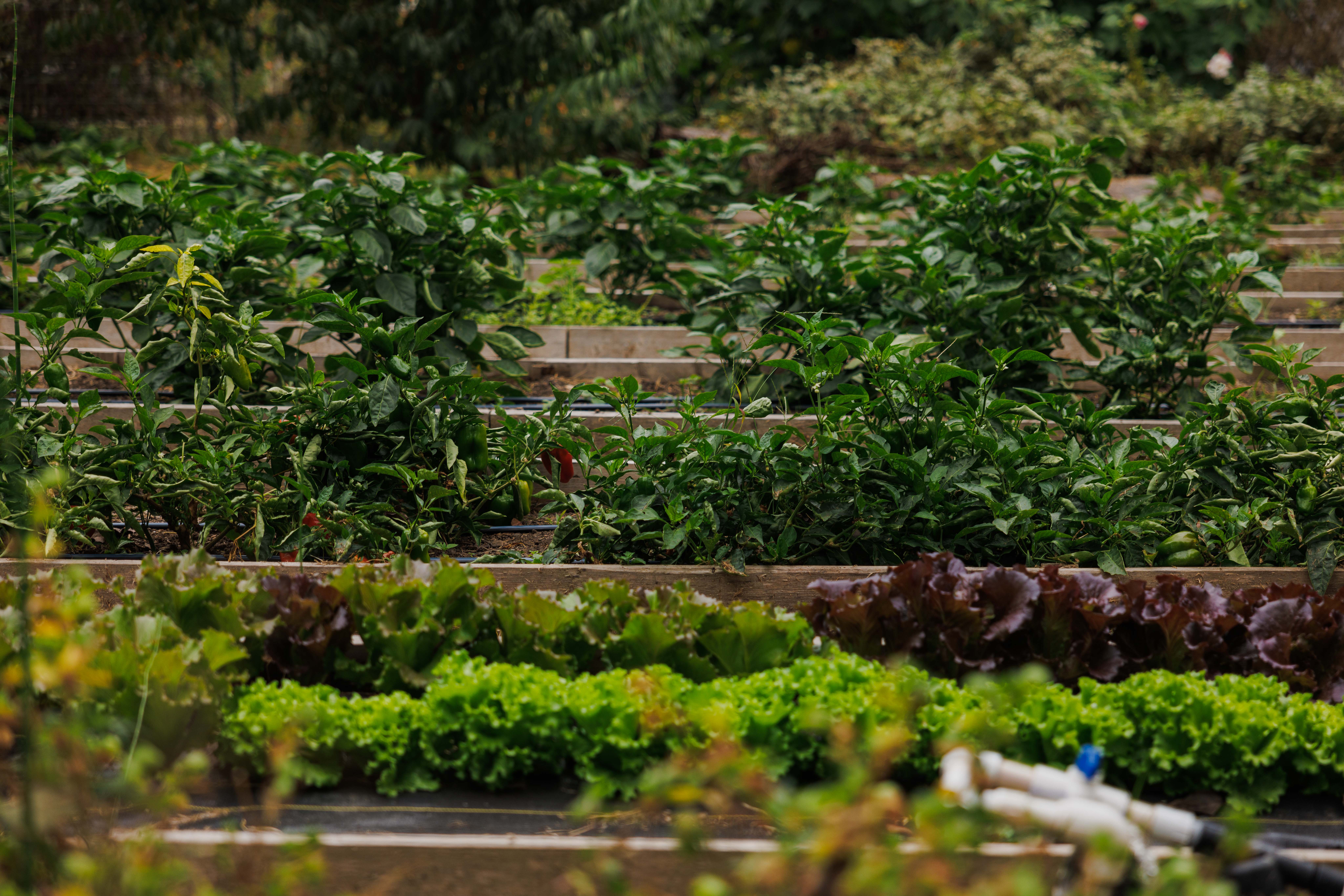 Register Your Farm