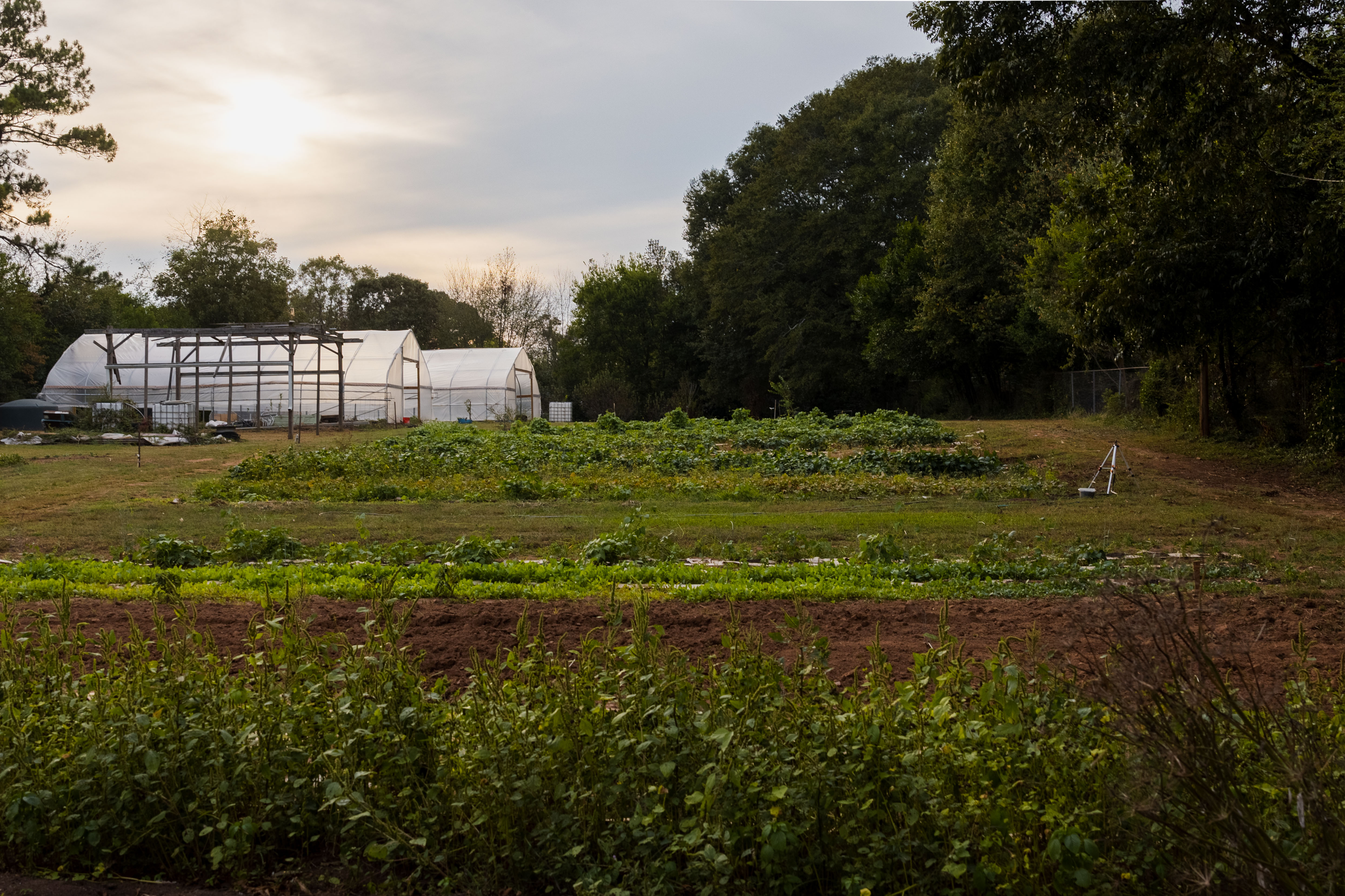 FSA Farm Programs